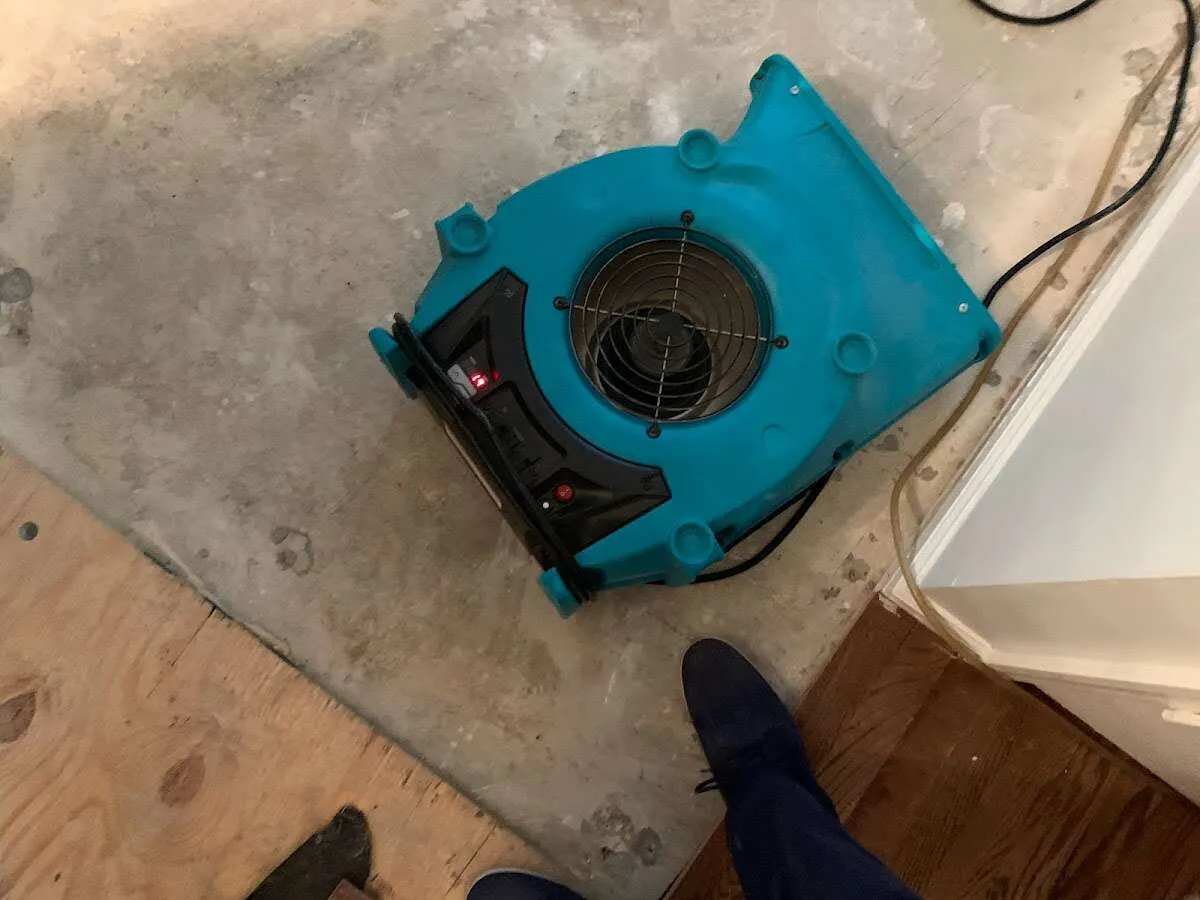 Air mover drying subfloor during Leak Detection & Repair in Ridgefield
